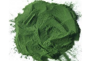 Che cosa è la spirulina ?
